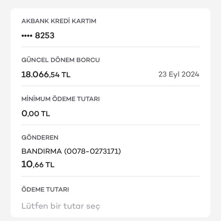 Kredi Kartı Kısıtlaması: Ödeme Sonrası Sorunlar
