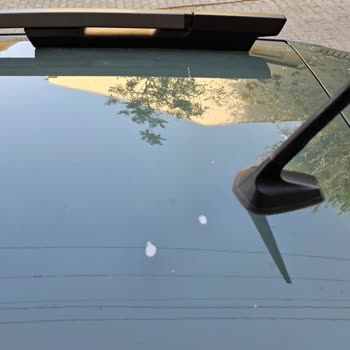 Dacia Sandero Stepway Tavan Boyası Sorunu