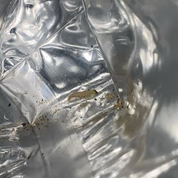 Tadım Çekirdeklerinde Kurt Şoku