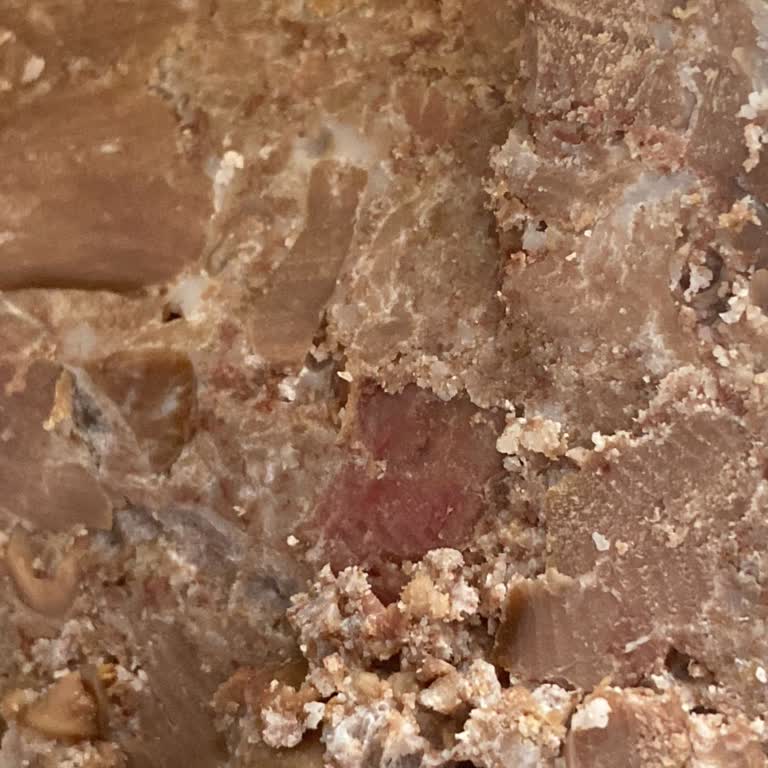 Rize Yaylahan Yöresel Toptan Ve Perakende Bozuk Ürün Ve Hijyen Sorunlarıyla Mağduriyet!