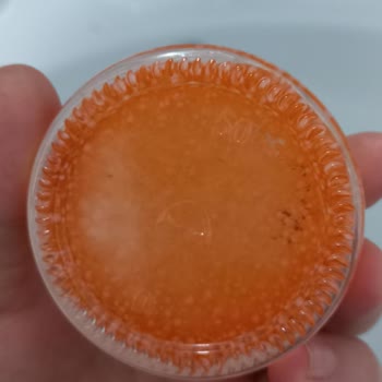 Sağlık Tehdidi: Gratis'ten Alınan Kaş Ürünü Küflendi