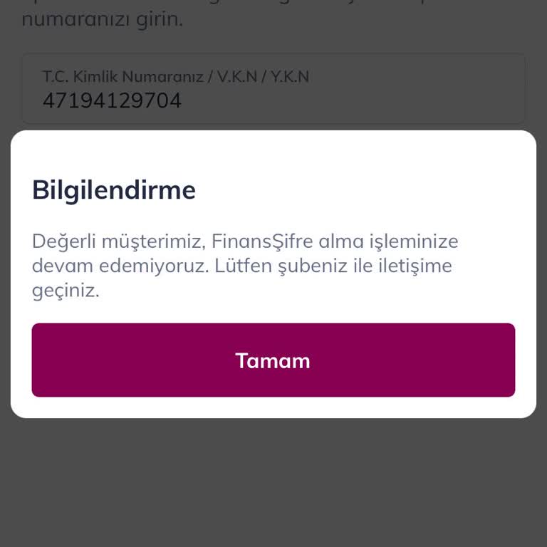 Mobil Giriş Sorunu ve Müşteri Hizmetleri Erişimsizliği