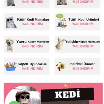 Bynogame Yanıltıcı Site Deneyimi
