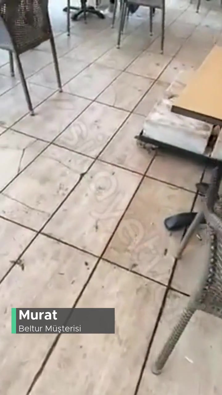 Beltur Küçükyalı Pisliği Hakkında videonun kapak resmi