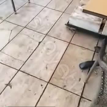 Beltur Küçükyalı Pisliği Hakkında