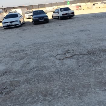 Güvenlik Kurallarında Çifte Standart