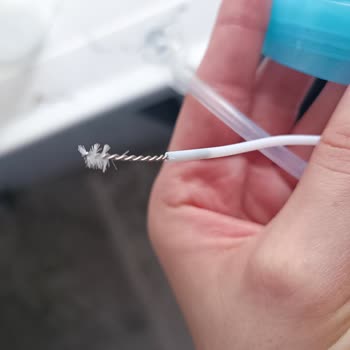 Munchkin Mağduriyetimin Giderilmesini İstiyorum