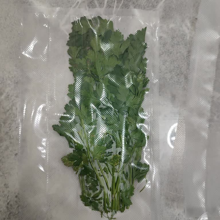 Vakum Makinesi Hayal Kırıklığı: Hava Boşlukları ve İade Sorunları