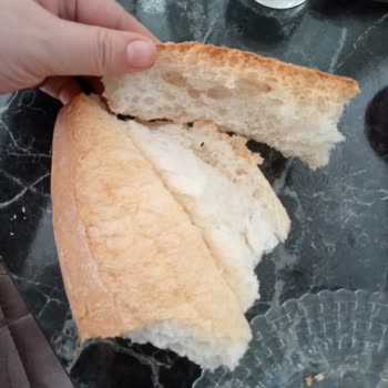 BİM Marketten Alınan Ekmeğin İçinden Böcek Çıktı