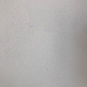 Filli Boya ile Kum Beyazı Boya Sorunu: Kırmızı Lekeler ve Eksper Bekleme Süresi