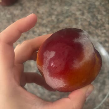 Profilo Buzdolabı Hayal Kırıklığı