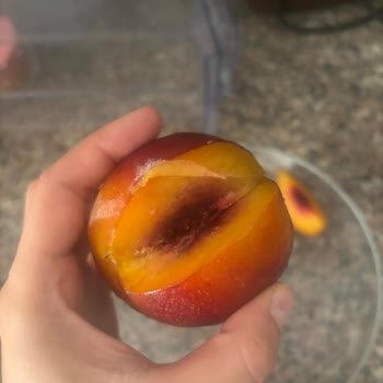 Profilo Buzdolabı Hayal Kırıklığı