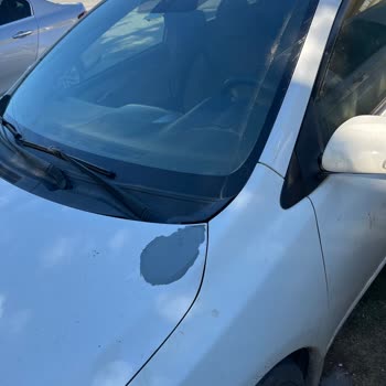 Toyota Corolla'da Kronik Boya Sorunu ve Geciken Çözüm