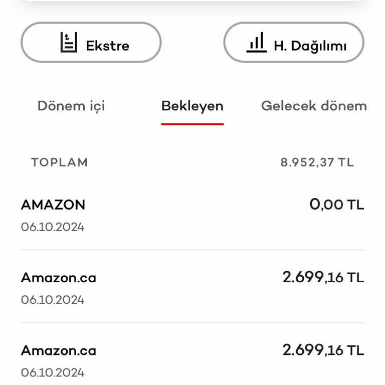 Akbank Kredi Kartı Güvenlik Sorunu ve Mağduriyet