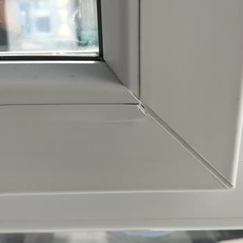 Winsa Bayii'nin İhmali: Hasarlı Pencereler