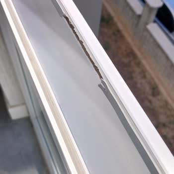 Winsa Bayii'nin İhmali: Hasarlı Pencereler