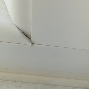 Winsa Bayii'nin İhmali: Hasarlı Pencereler