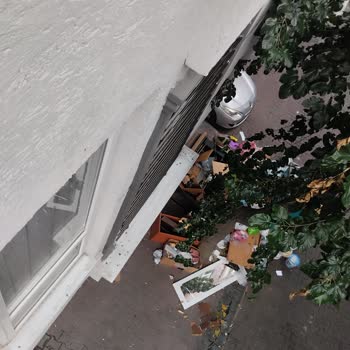 Bahçelievler'de Çöp ve Ağaç Sorunu