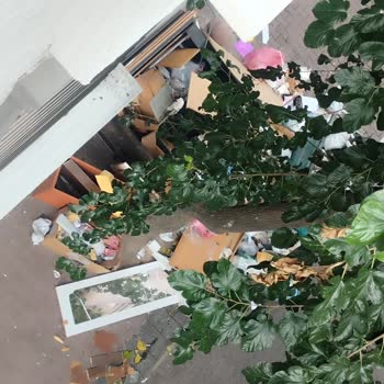 Bahçelievler'de Çöp ve Ağaç Sorunu