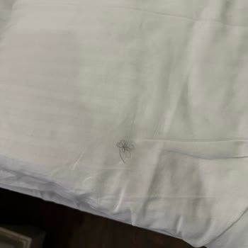 Hijyen Sorunları ve Zorla Ücret Talebi