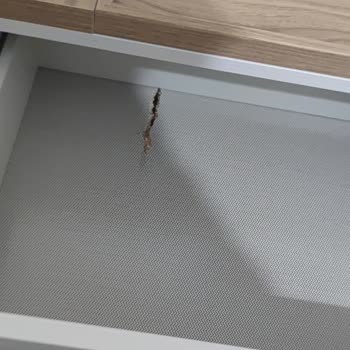 Enza Home'dan Aldığım Yatak Odası Takımı: Eksik ve Hasarlı Teslimat Sorunu