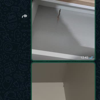 Enza Home'dan Aldığım Yatak Odası Takımı: Eksik ve Hasarlı Teslimat Sorunu