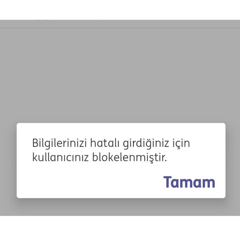 ING Şifre Blokesi Ve Müşteri Hizmetleri Çıkmazı!