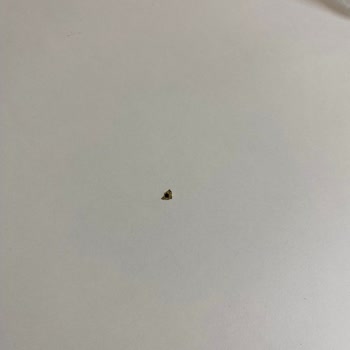 Varna Concept Sorunumun Giderilmesini İstiyorum