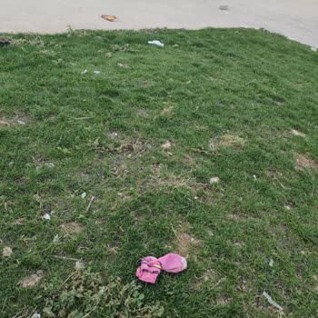 Seyrantepe Parkı'nda Güvenlik ve Temizlik Sorunları