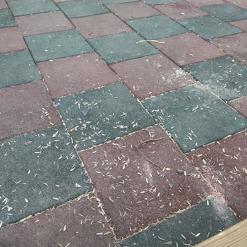 Seyrantepe Parkı'nda Güvenlik ve Temizlik Sorunları