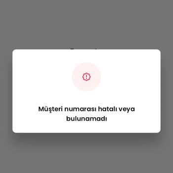 Hesap Erişim Sorunu