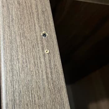 Düğün Öncesi Kabus: Tepe Home Yatak Odası Sorunları