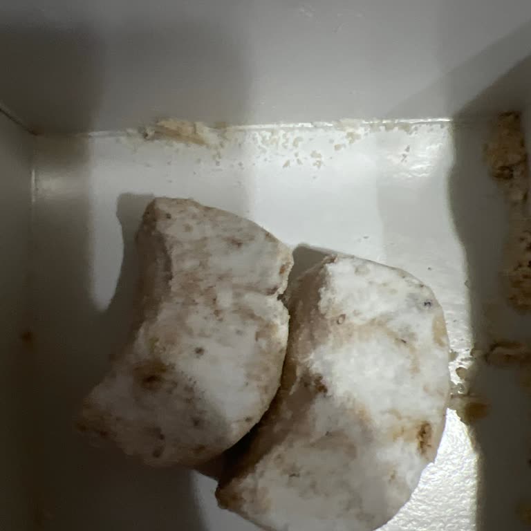 Yanlış Siparişle Gelen Mahcubiyet