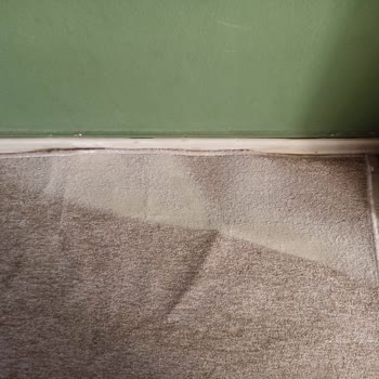 Yıkamax Halı Yıkama Kalitesiz Hizmet