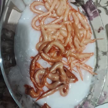 Son Kullanma Tarihi Olmayan Saç Boyası Şoku