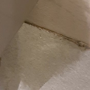 İstinye'de Tuvalet Temizliği Sorunu