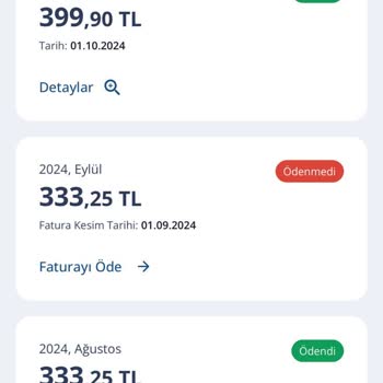 Ödenmiş Faturaya Rağmen İnternet Erişimi Kısıtlandı