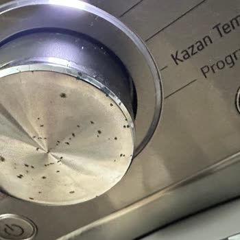 LG Çamaşır Makinesi Menüsü Paslandı: Kaliteye Yakışmayan Sorun!