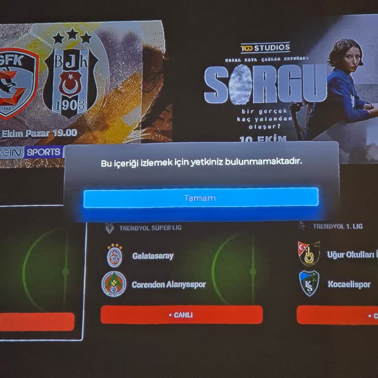 Abonelik Sonrası Erişim Sorunları ve Yetersiz Destek