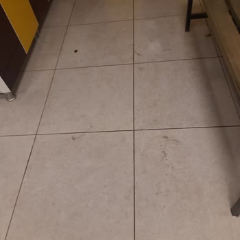 Dokuz Eylül Üniversitesi İçinde Deu Yüzme Havuzu Şikayeti