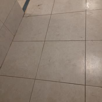 Dokuz Eylül Üniversitesi İçinde Deu Yüzme Havuzu Şikayeti