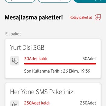Yurt Dışı İnternet Kullanım Bilgilerine Ulaşamama Sorunu