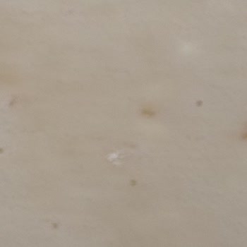 Yeğenler Buğday Unundan Böcek ve Kurtlar Çıktı