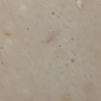 Yeğenler Buğday Unundan Böcek ve Kurtlar Çıktı