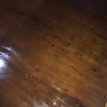 Katalog Renkleri Gerçeği Yansıtmıyor: Polisan Politex Hayal Kırıklığı