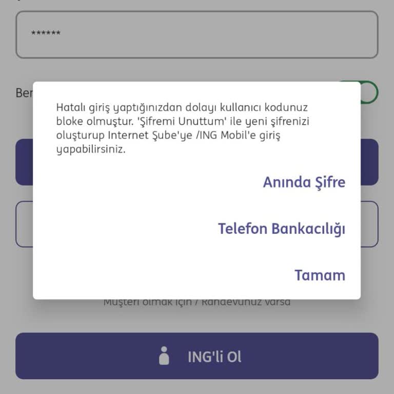 ING Mobil Şubeye Giriş Sorunu ve Müşteri Hizmetlerinden Yardım Beklentisi