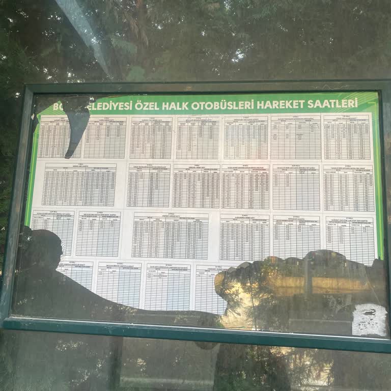 Bolu Belediyesi Otobüs Saatleri Uyumsuzluğu Mağduriyeti