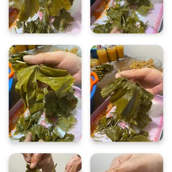 @naturellsalamur Tarafından Gönderilen Yapraklar Çok Kötüydü!