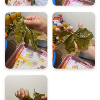 @naturellsalamur Tarafından Gönderilen Yapraklar Çok Kötüydü!