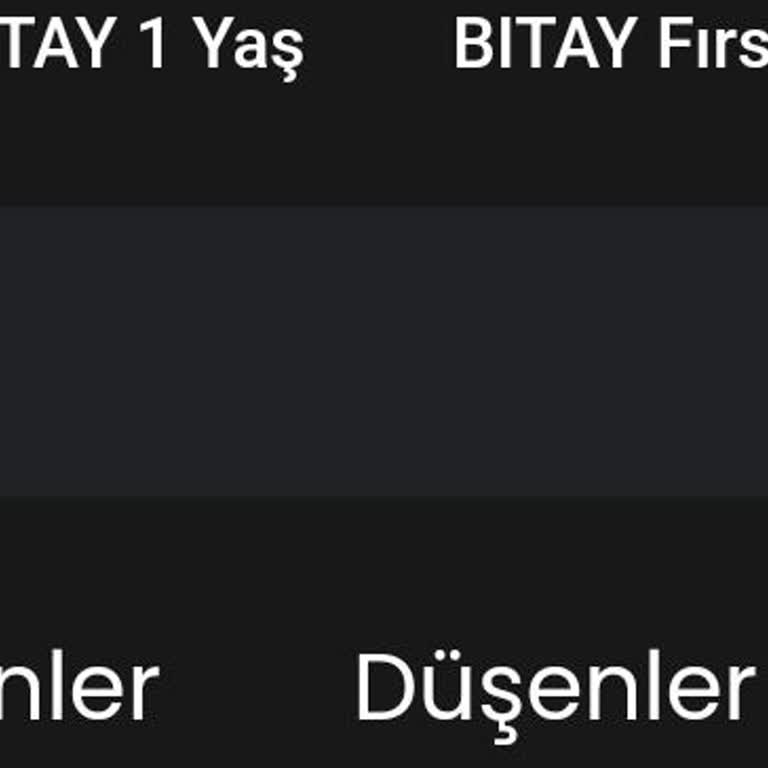Bitay hesabımda kaybolan Shiba coin ve müşteri hizmetlerine ulaşamama sorunu